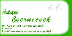 adam csernicsek business card